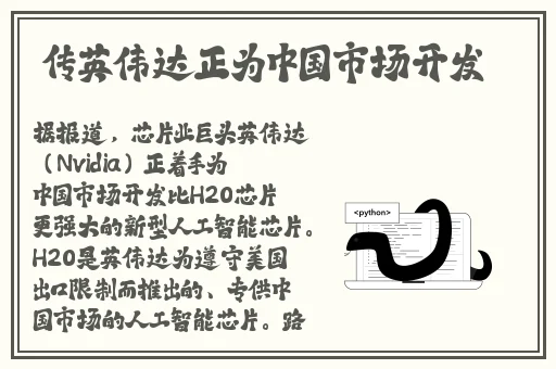 国产69精品久久久久
